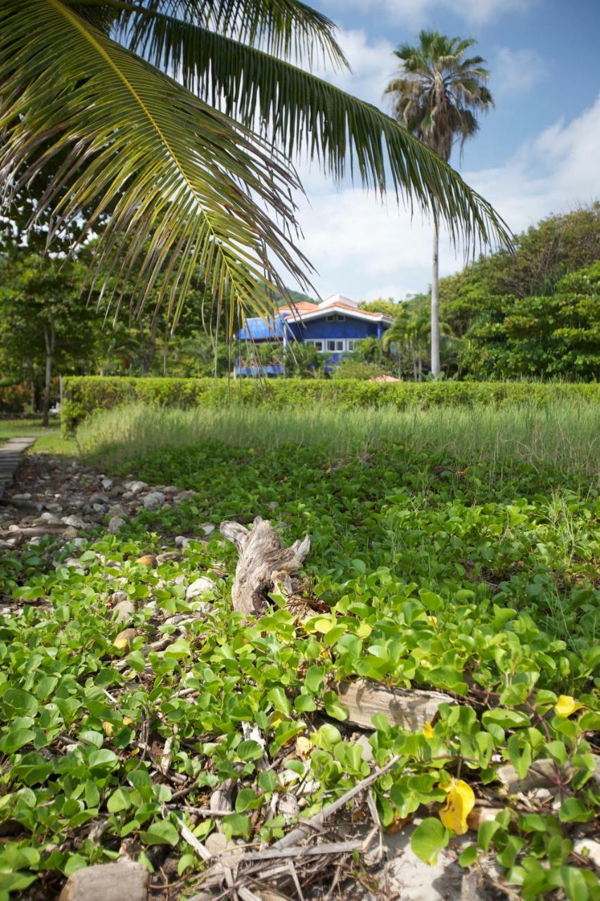 Hotel Casa Azul Playa Santa Teresa  Экстерьер фото